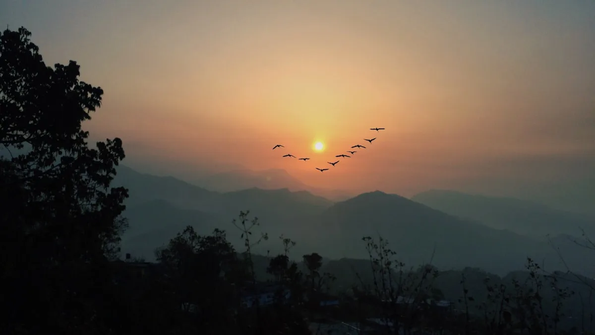 Pokhara Skydive — operator photo 2